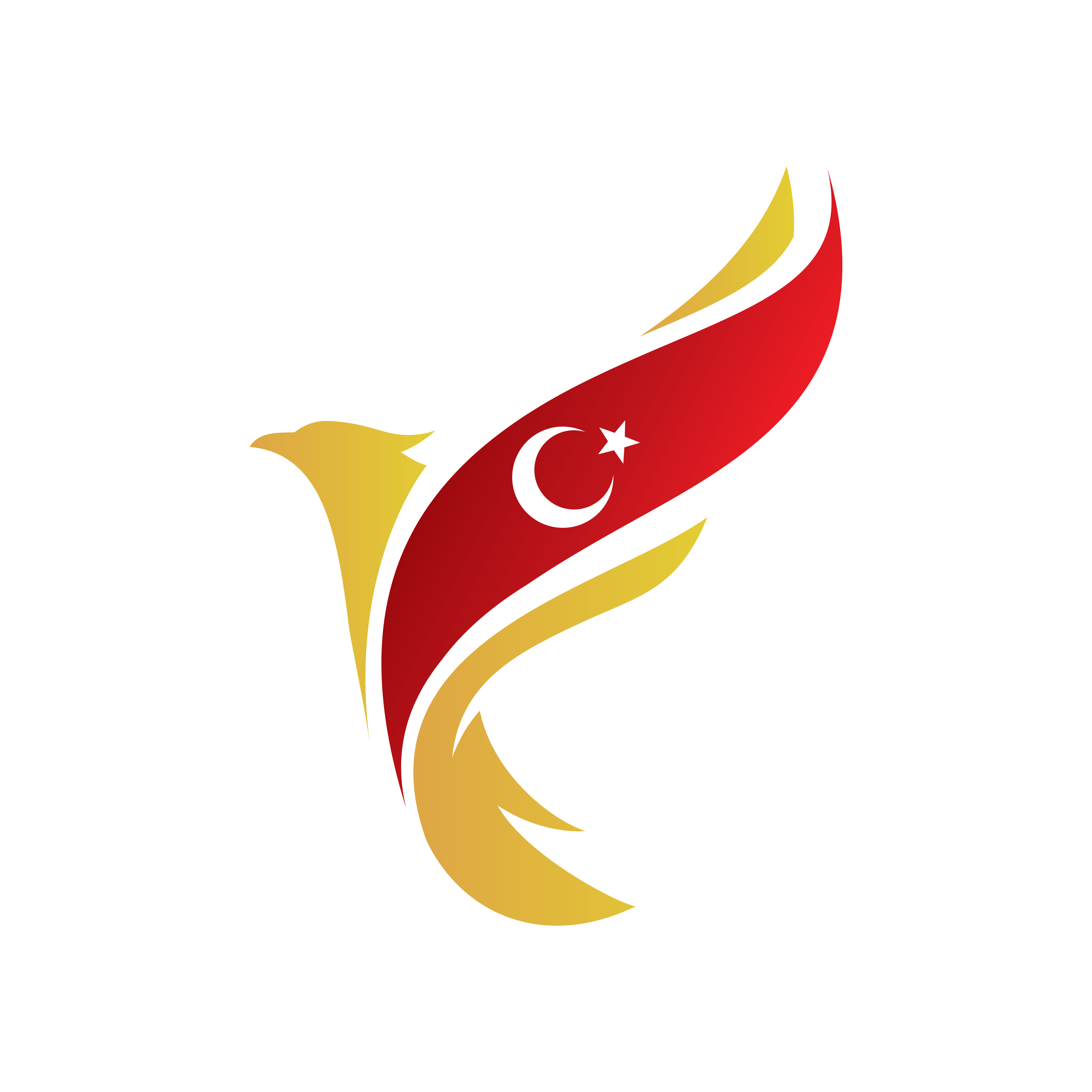 TurkCham Symbol